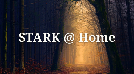 STARK @ Home 13: Dark Forest Escape Route