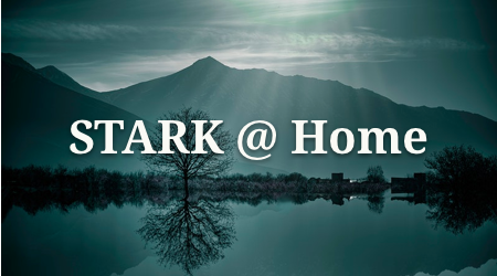 STARK @ Home 15: Shrinking Proofs via Cryptographic Sampling