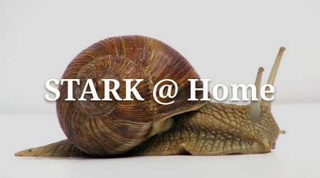 STARK @ Home 8: Time-Warping STARKs